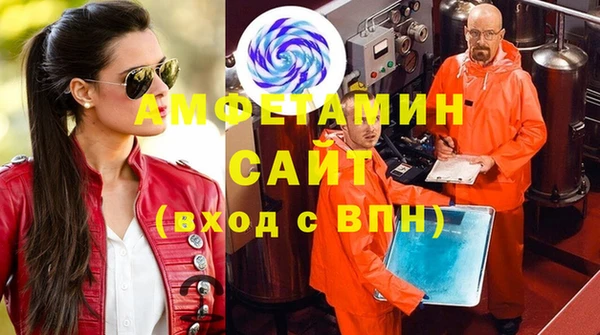 шишки Переславль-Залесский
