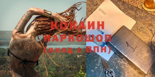 дмт Алзамай