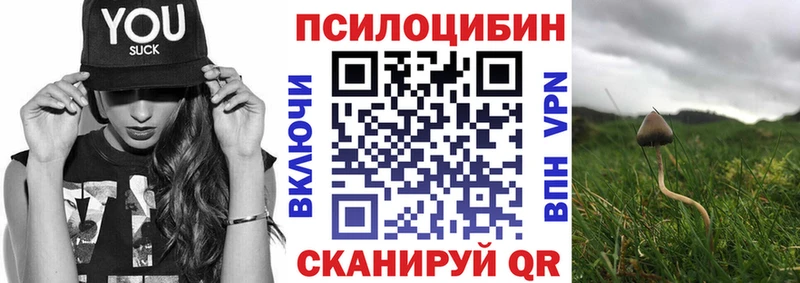 цена наркотик Апатиты гидра Псилоцибиновые грибы мицелий