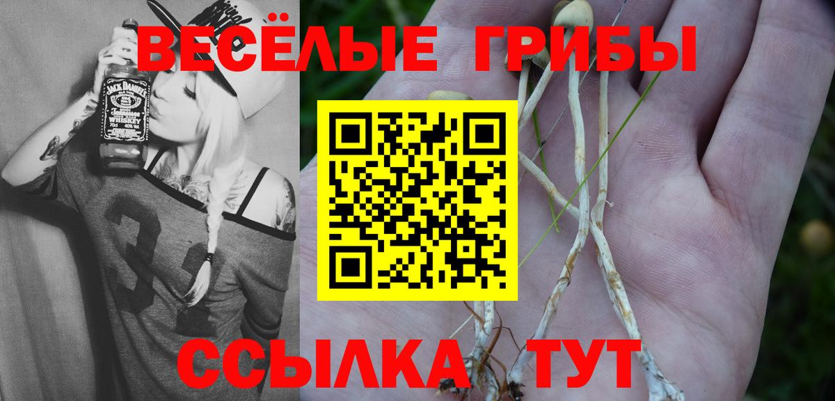 Псилоцибиновые грибы мицелий  цены   Апатиты  Вход с VPN 